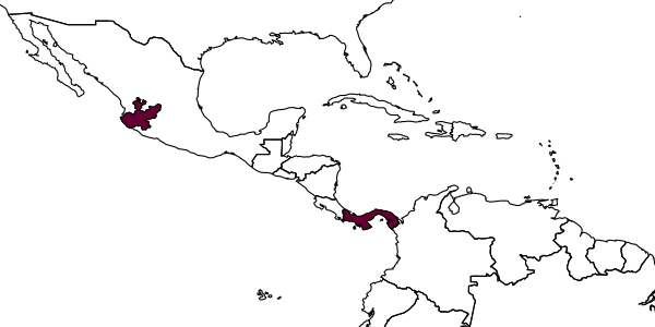 map of Gonatopus moyaraygozai     Olmi, 1991